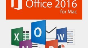 Download MS Office 365 for Your MAC Device