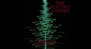 The Electric Gnome Dance Song Lyrics